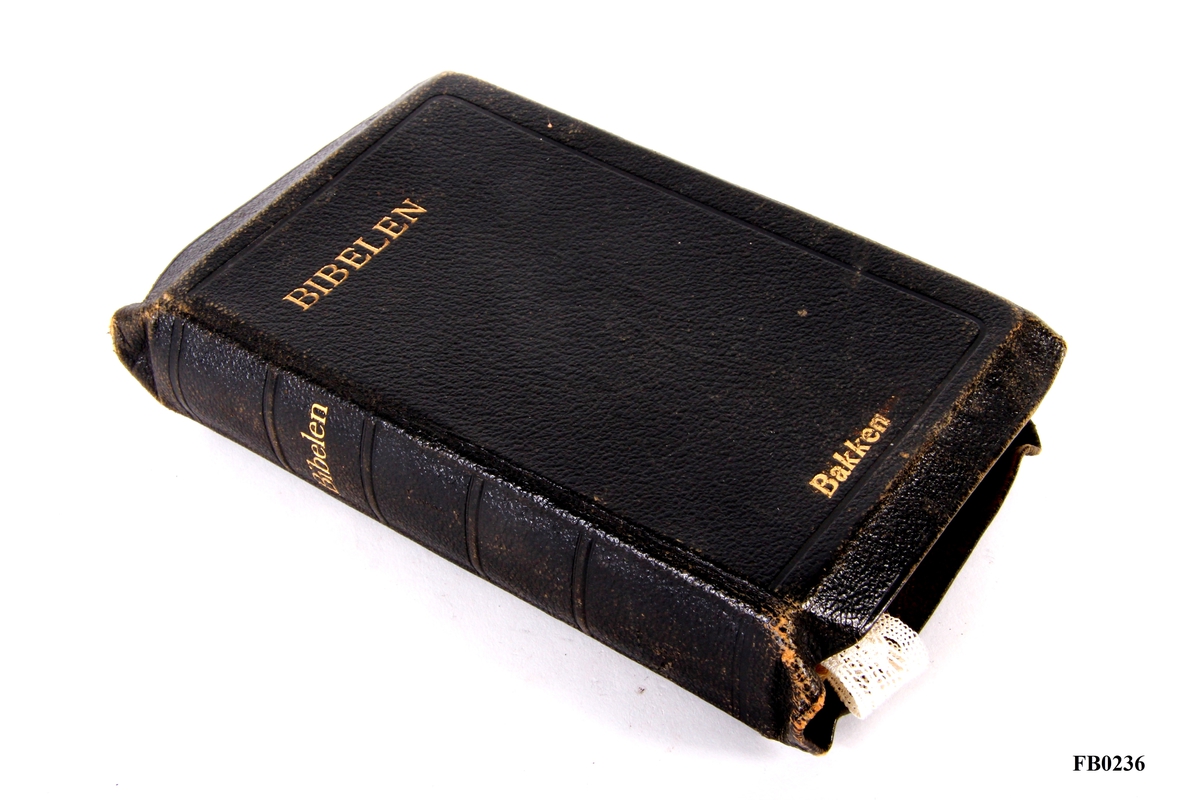 Bibel innbundet i svart skinnperm-