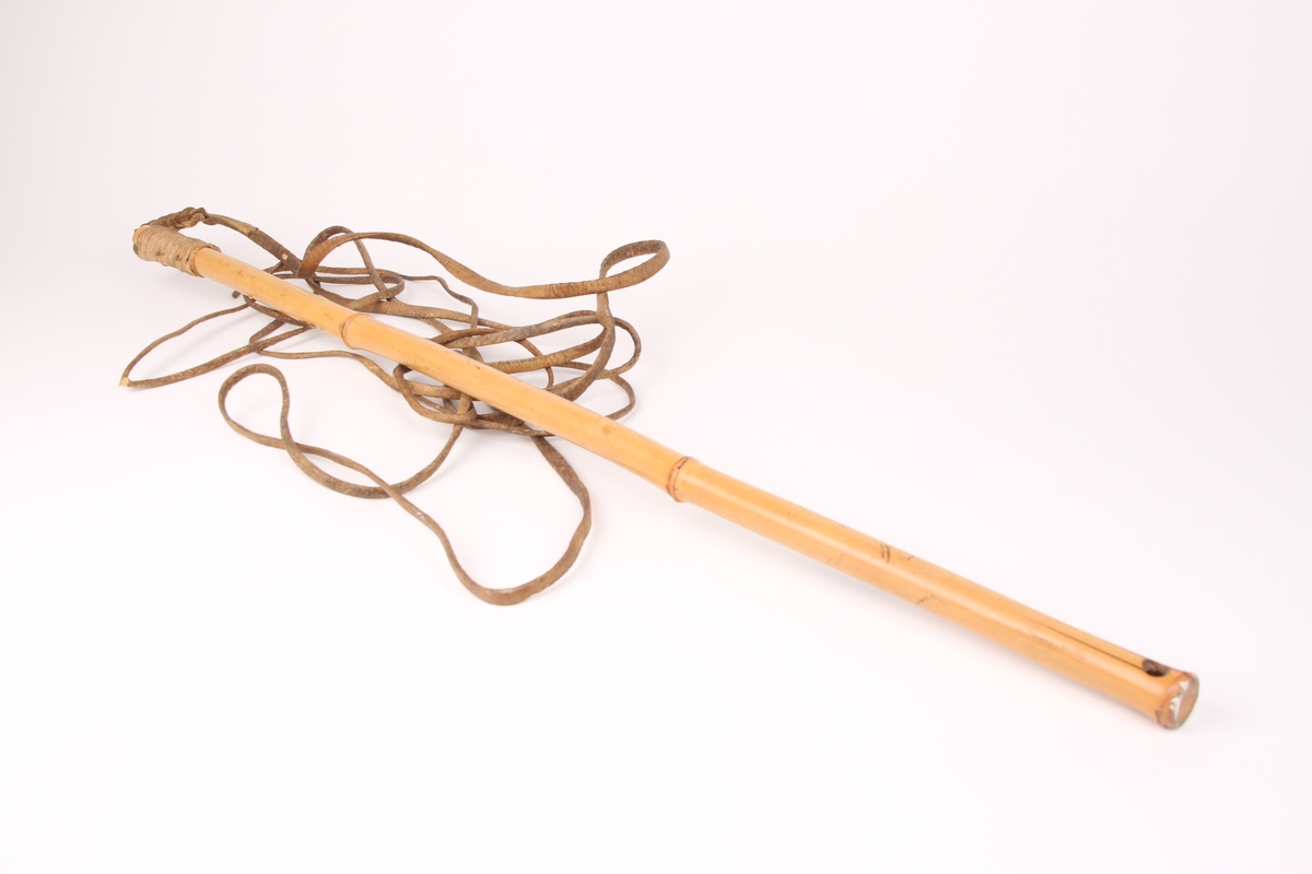 En bambusstav med lærrem. Lærremmen er festet til staven med tråd som er surret rundt toppen av staven. Første delen av svepen er flettet.