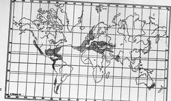 Dr. Johan Kjær: Elefanter og mammutter