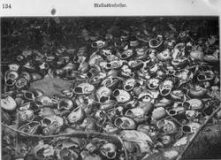 Prof. Bonnevie (30 + 1 feil)