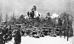 Hagenbeck’s dyrehave i Hamburg, høyfjellsområdet i parken