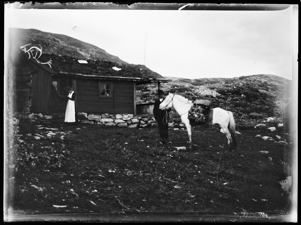 To personer ved en sæter / hytte på fjellet. Mannen holder tømmene til en fjording med oppakking. Damen står ved  hytta / sætra.