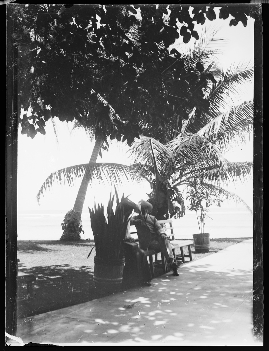 En mann og en dame sitter på en benk i skyggen under palmer.