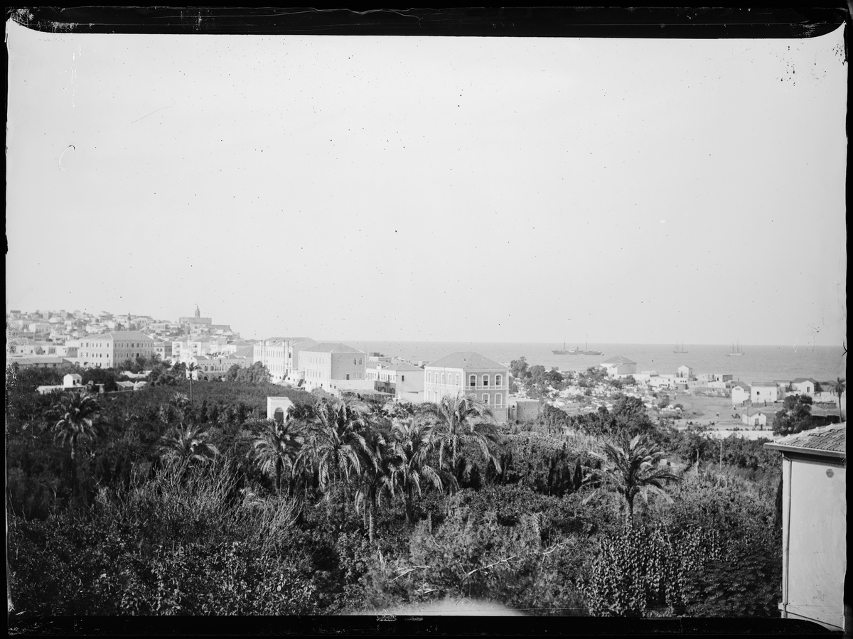 "Jerusalem 10, Cairo 6" (inskr eske). By ved havet. Hus og palmer.