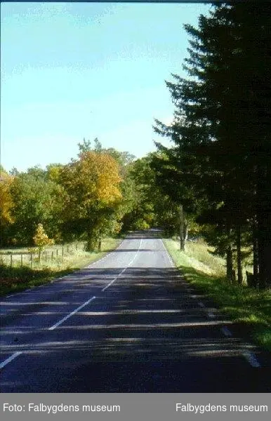Vägen vid Forentorp före vägomläggning.