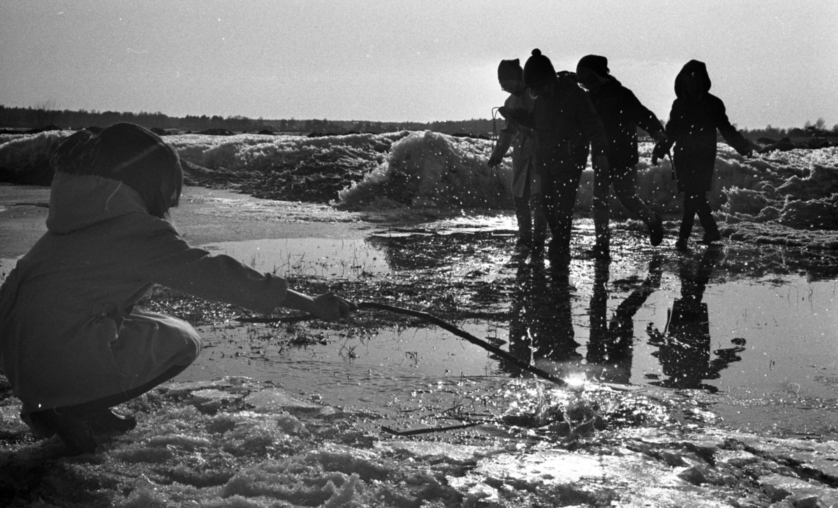 Vår 19 april 1966

Fem barn, både flickor och pojkar, befinner sig vid en bäck i vårsolens sken. Ett barn sitter i förgrunden och petar med en gren i vårbäcken. De andra befinner sig på motsatta sidan av bäcken.