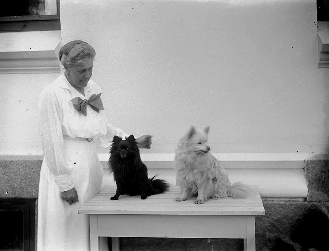 En kvinna med två hundar.