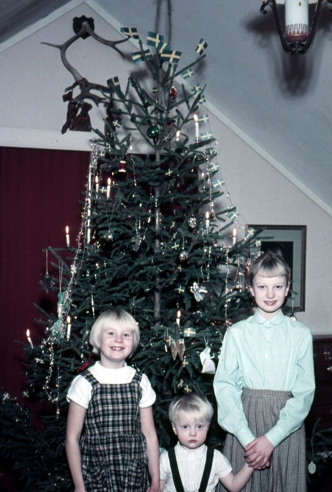 Julen 1954, julgran.