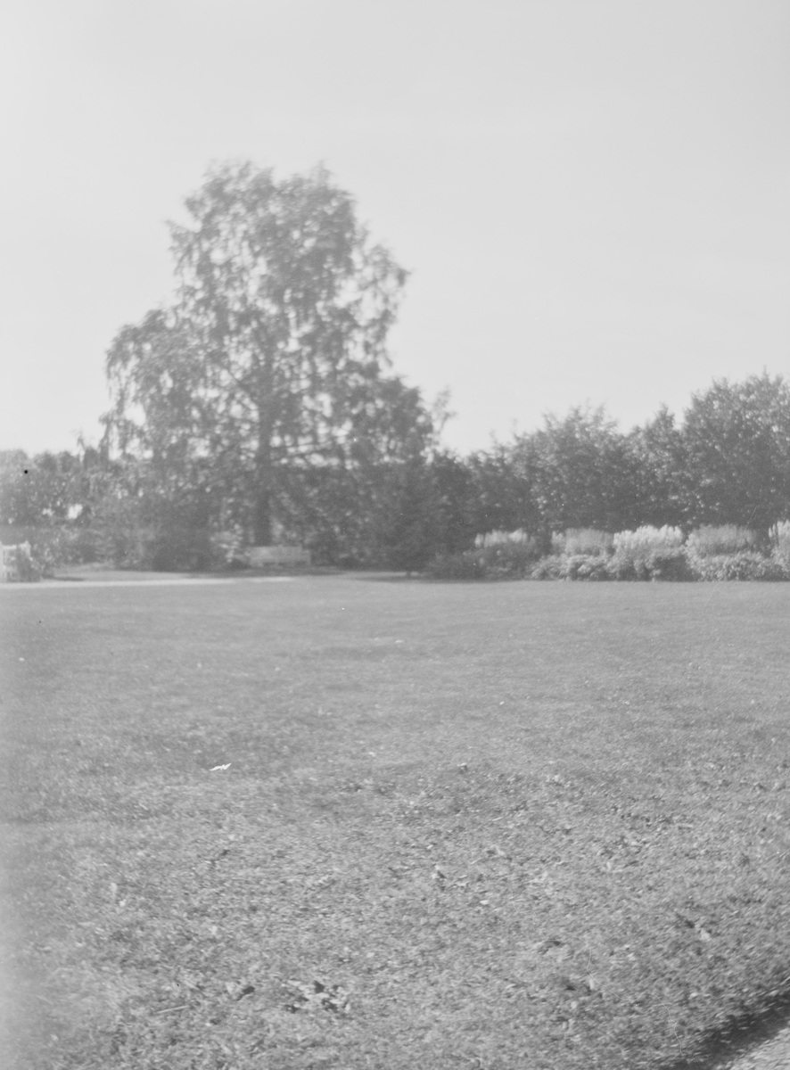 Landskapsbilde fra Linderud gård.
