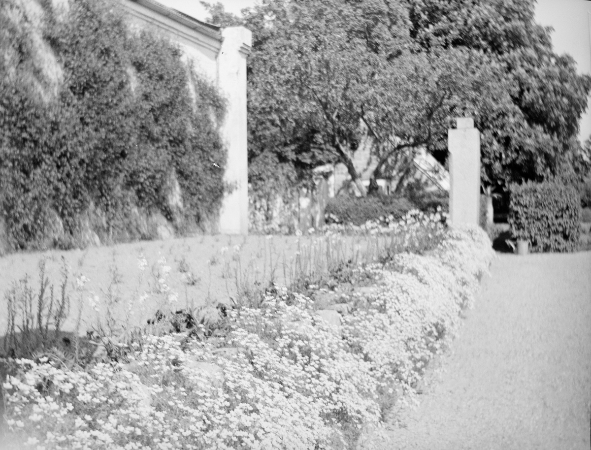 Veggen til gartnerboligen er overgrodd med klatreplanter. Blomsterbed med roser og stauder er anlagt mellom huset og grusgangen i den Victorianske hagen på Linderud Gård.
I bakrunnen vokser store løvtrær rundt et drivhus.