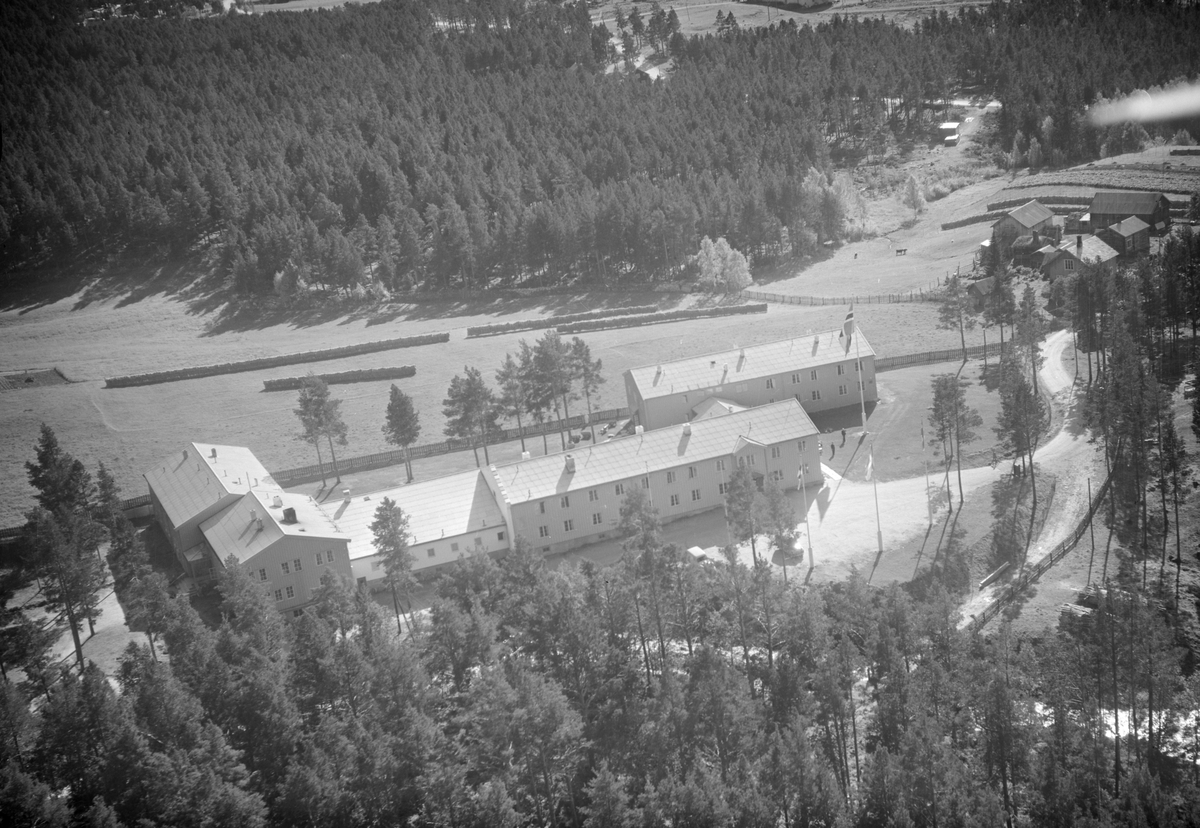 Dovrefjell Hotel, Dombås, Dovre, 15.09.1953, gård i nærheten, jordbruk, hesjing, barskog