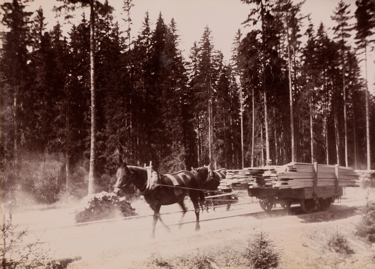 "Berger og Hurdalssjøen" Skogsarbeid med hest som drar på vogner med tømmer som kjører på skinner.