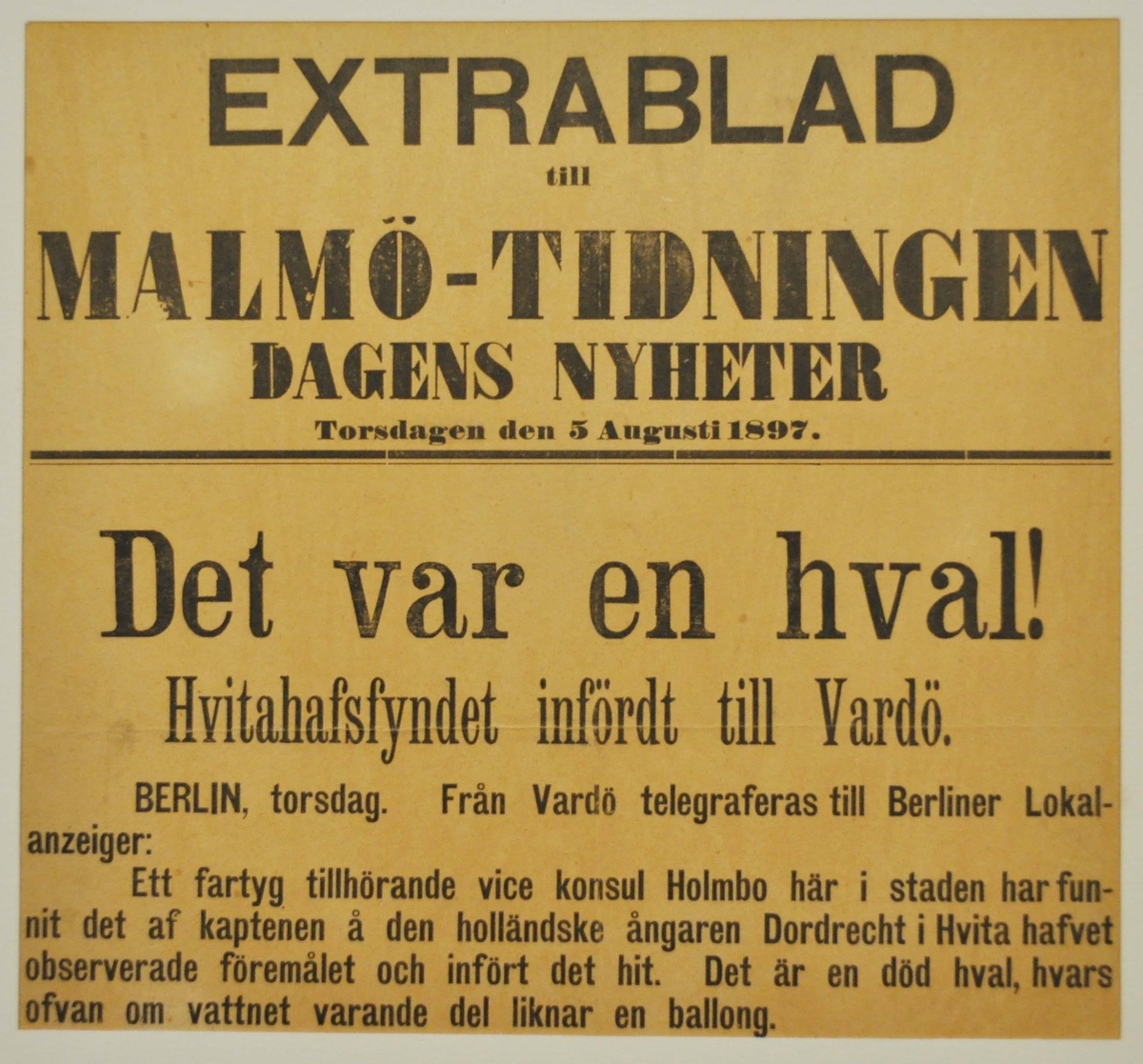 Löpsedel för Malmö-Tidingen Dagens Nyheter med rubrik: "Det var en hval!"