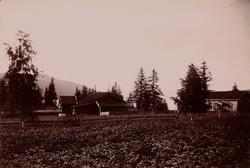 I forgrunnen en potetåker, i bakgrunnen et gårdsbruk.