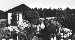 Bilder fra fotoalbum (23 x 25 cm) Nordisk kolonihagekongress