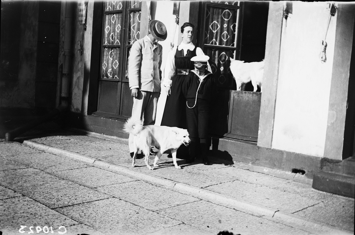 Drottning Victorias bilder.Gustav Adolf med mamma Victoria och prins Erik på Tullgarnd slott. De båda hundarna Ripp och Rapp får också vara med på bild. Victoria iförd Tullgarnsdräkt.