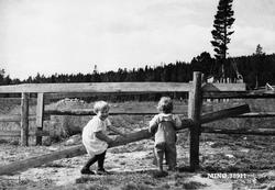To små jenter ved gjerde