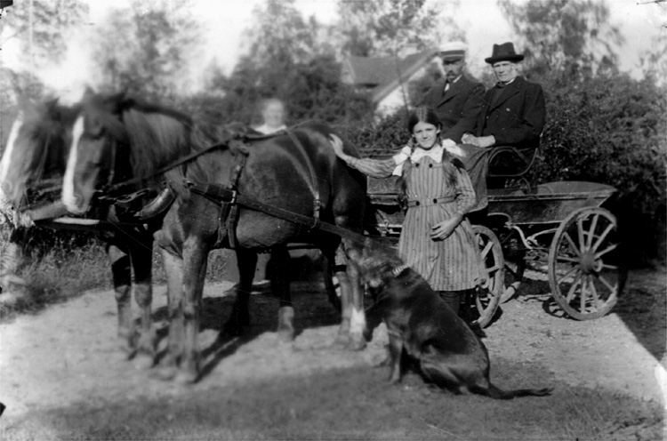 Två hästar spända för vagn med två personer i.
En flicka med hund vid vagnen.
Lärare Elander, Fridhems skola, Norrbyås socken med kusk.