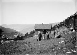 Thulien, 29.07.1914, høytliggende gård, tømmerbygninger, dal