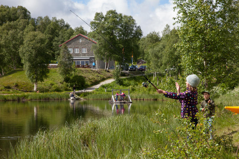 Doktortjønna fiske (Foto/Photo)