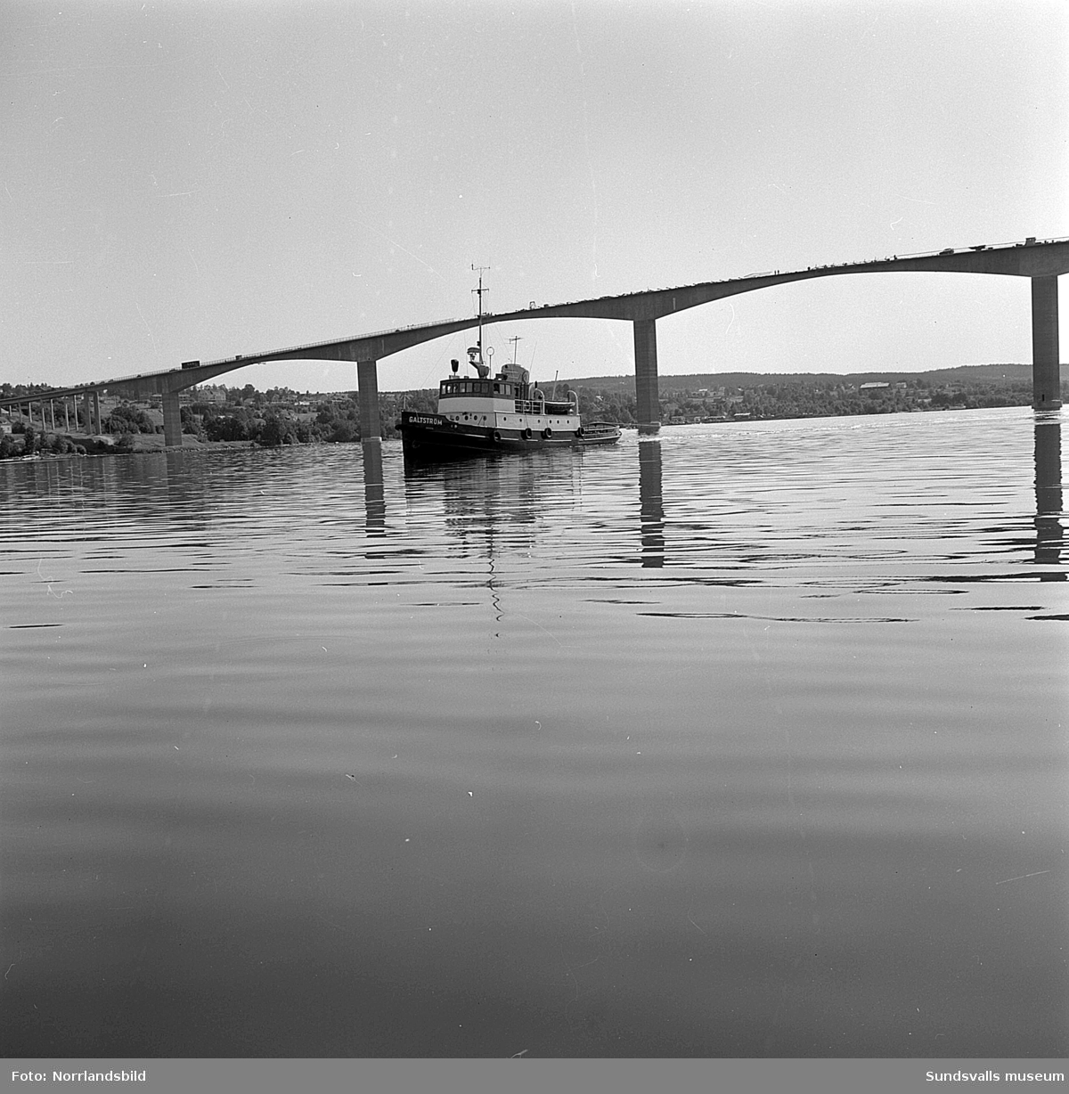 Bogsering av timmer vid Alnöbron.