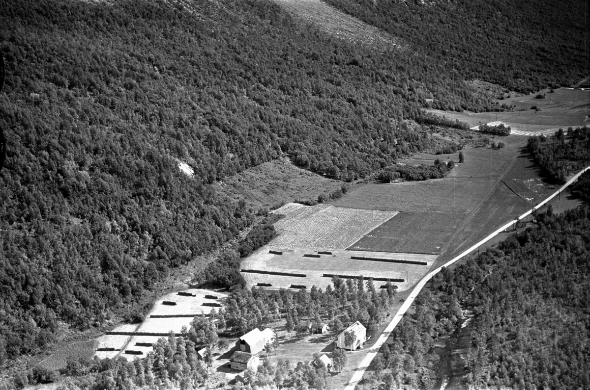 Flyfoto: Sørdalen, Løberg i Bardu 1959