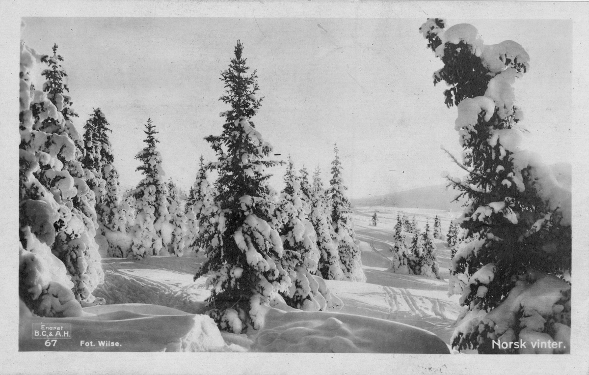 Postkort. Vinterlandskap med snø og skog.