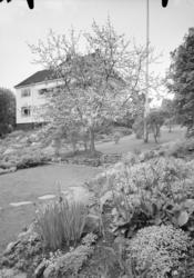 Balke, major - Villa, ute og inne (Vi selv)