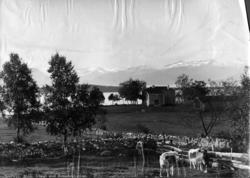 "Molde, utsikt mot Romsdalsfjellene"..(Se Romsdalsmuseets år