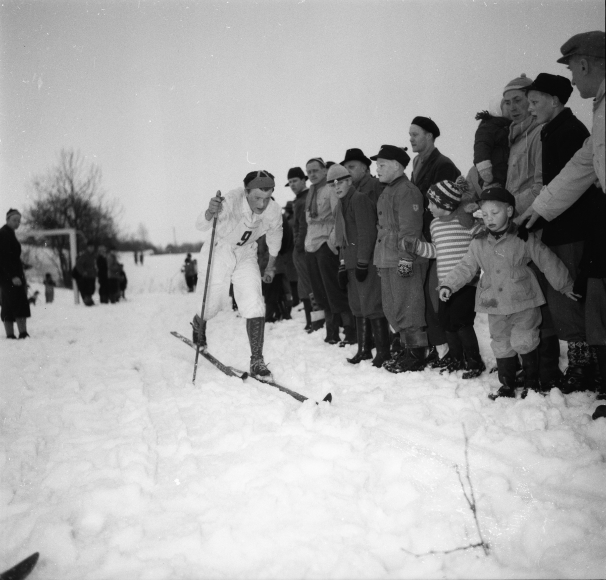 Vardens arkiv. "15 km langrenn v/Skidar"  13.03.1954