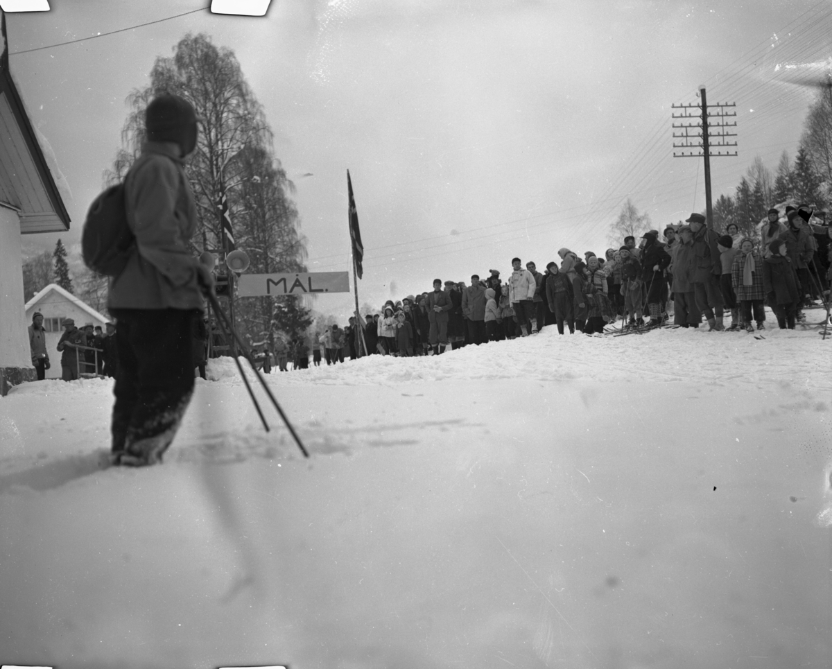 Vardens arkiv. "30 km landsrenn i Kviteseid"  25.02.1954