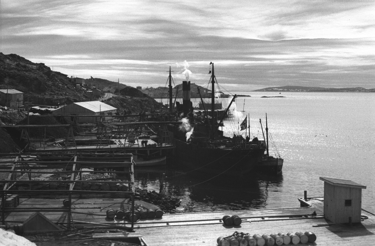 Gjenreisning. Honningsvåg. Båter ligger ved de nybygde kaiene i Holmbukt. 1946/47.