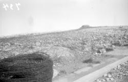 En kamuflert tyskerbunker i Hauggata, sett fra sydøst, med p