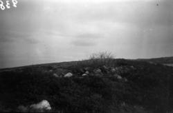 På bildet ser vi terrenget vest for Dambukta, der to "branns