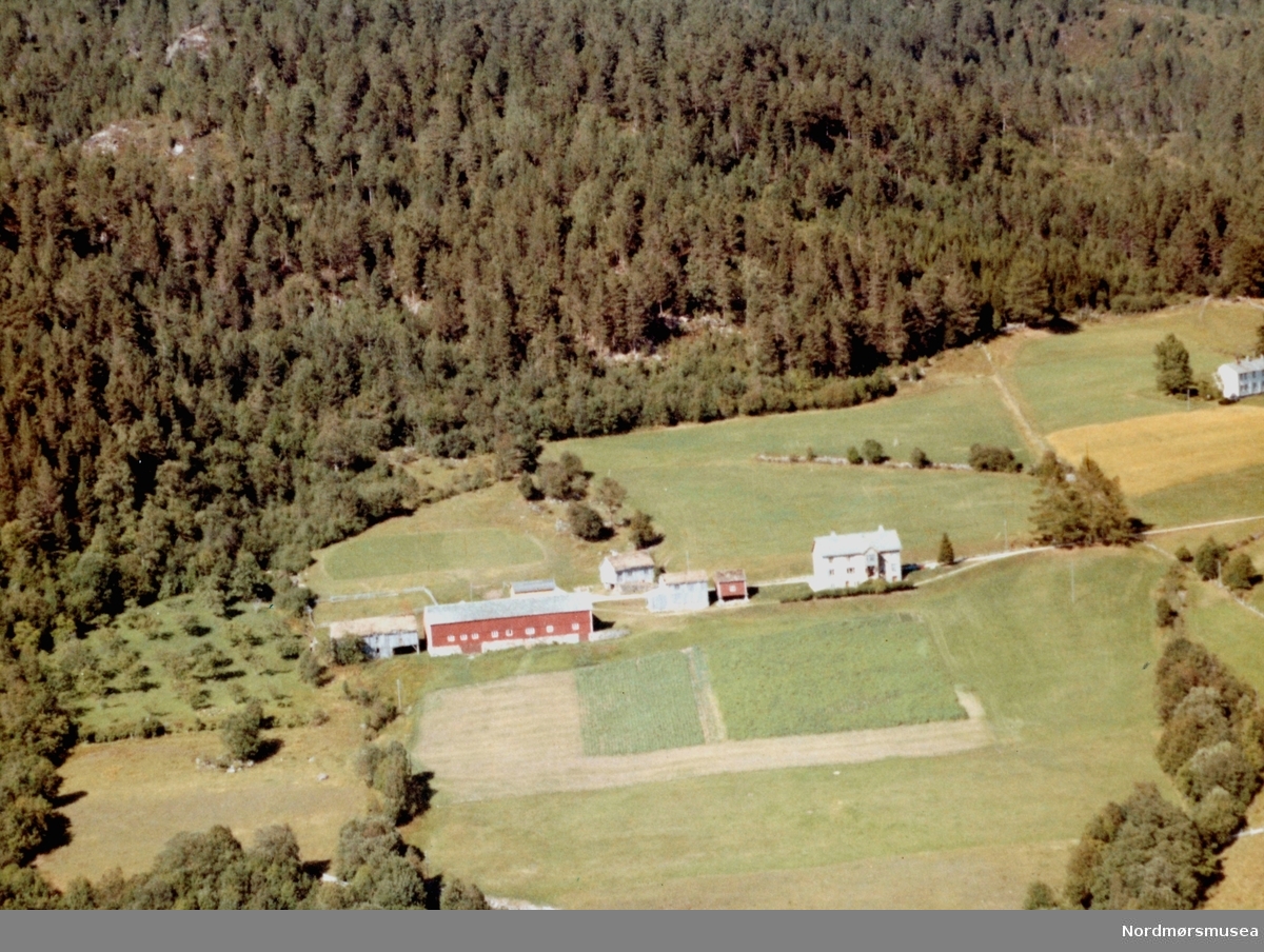 Flyfoto fra gården til Erling L. Meisingset, Rotås på Meisingset. Bildet er datert 30. juli 1963, og fotograf er Widerøe's Flyveselskap a/s. Fra Nordmøre Museums fotosamlinger.
