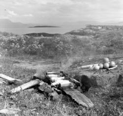 Fra en reportasje i Aftenposten om fiske mm. fra Vågen. Se b