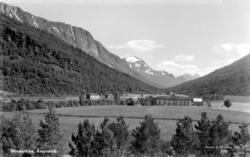 Postkort med motiv fra Storebråten på Ålvundeid i Sunndal ko