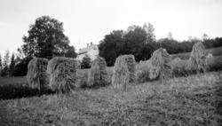 Tekst mangler. Vet du noe om motivet, tid, sted, navn på per