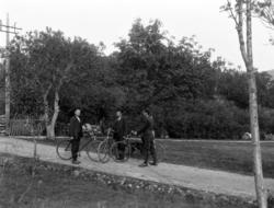 Tre menn med hver sin sykkel på en landevei, usikkert
 hvor.