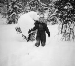 Vardens arkiv. "Liten pike på ski. Datter av direktør Johans