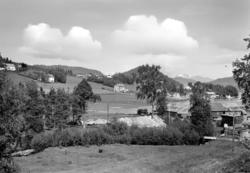 Foto fra et sagbruk nær fjorden, trolig i Nesset kommune i M