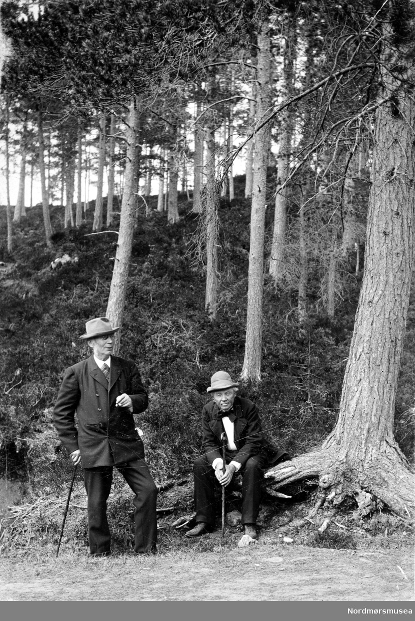 2 eldre herrer i skogen - hvor? ca 1890? Fra Nordmøre Museum sin fotosamling.