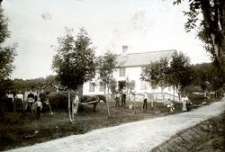 (Fra Nordmøre museums fotosamling.)