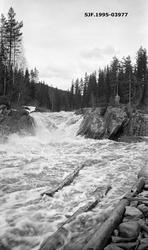 Fløting i ei elv som kalles Vala i Norderhov i Buskerud våre