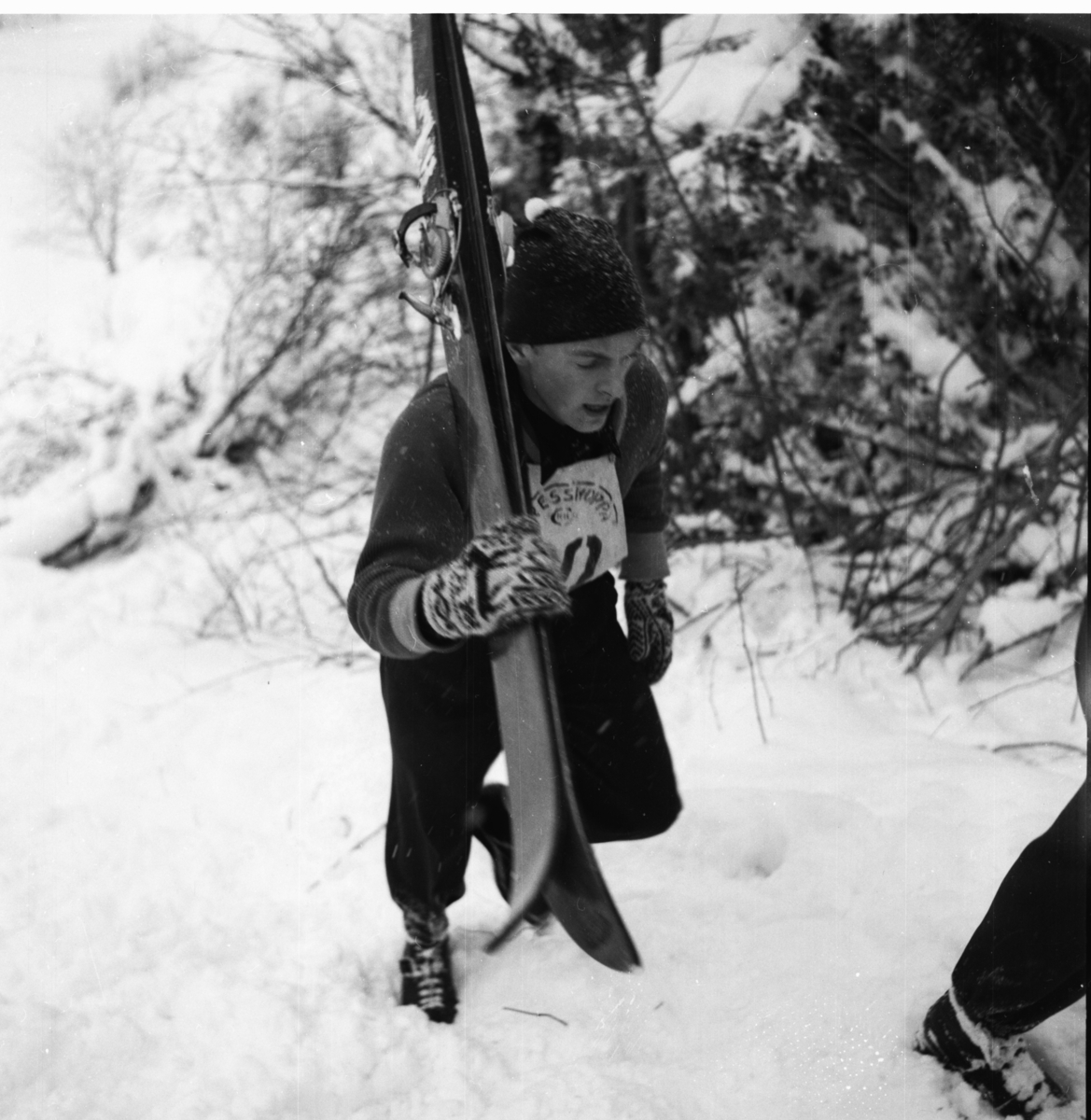 Vardens arkiv. "Politimesterskapet"  09.02.1954