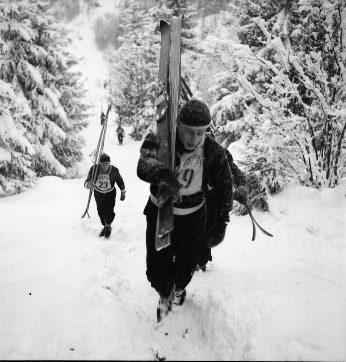 Vardens arkiv. "Politimesterskapet"  09.02.1954