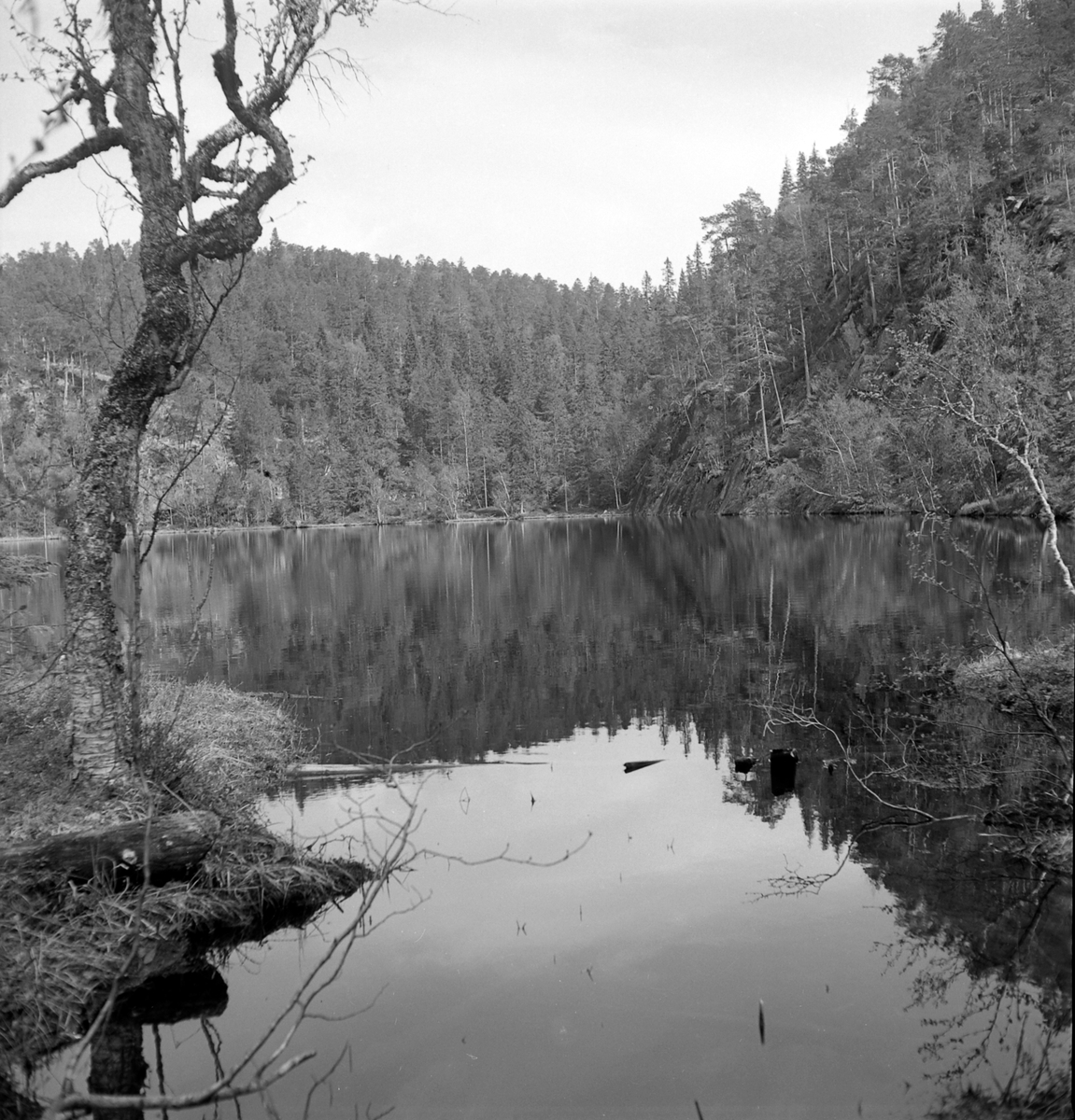 Nygårdsvollen ved Hommelvik