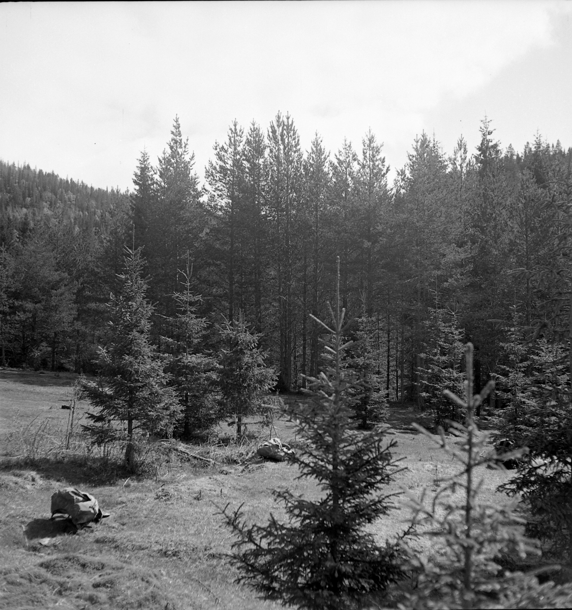 Nygårdsvollen ved Hommelvik