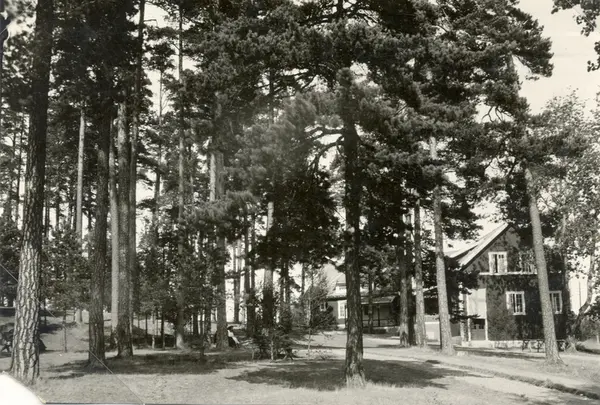 Brunnsparken I Södra Vi. - Kalmar Läns Museum / DigitaltMuseum