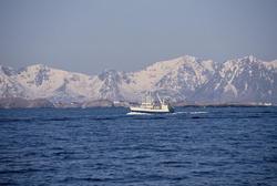 Fiskebåt på havet, Lofoten, med Lofotveggen i bakgrunnen